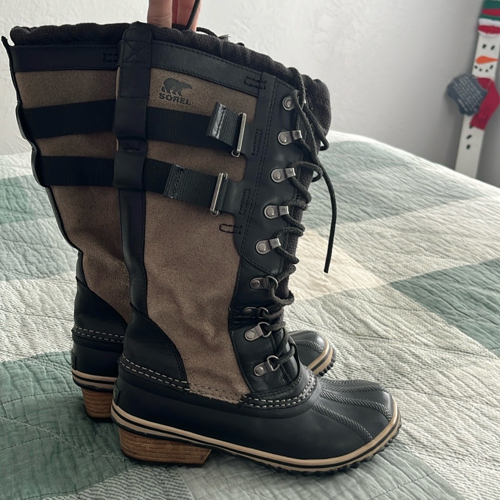 Sorel conquest Carly